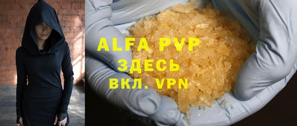 стаф Белокуриха