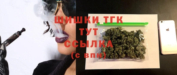 сатива Беломорск