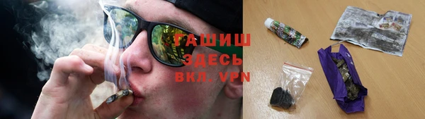 сатива Беломорск