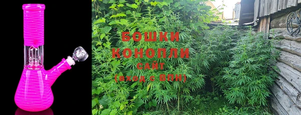 стаф Белокуриха
