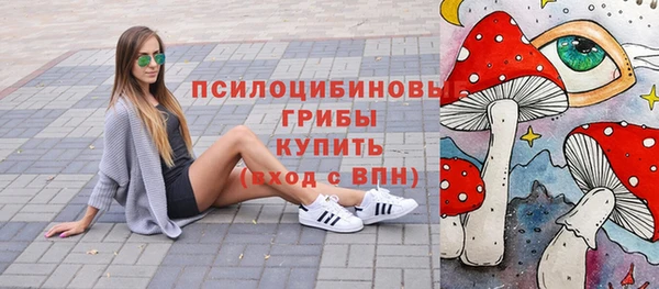 стаф Белокуриха