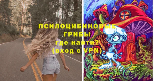 стаф Белокуриха